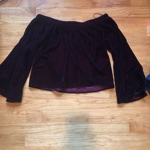Velvet off the shoulder top